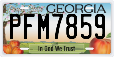 GA license plate PFM7859