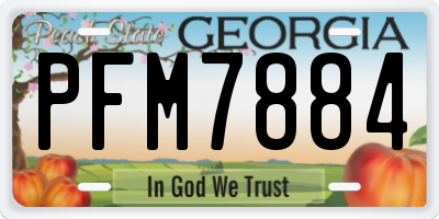 GA license plate PFM7884
