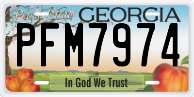 GA license plate PFM7974