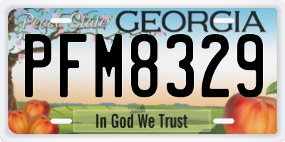 GA license plate PFM8329