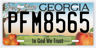 GA license plate PFM8565