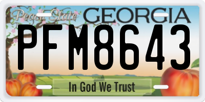 GA license plate PFM8643