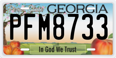 GA license plate PFM8733