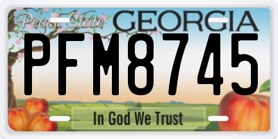 GA license plate PFM8745