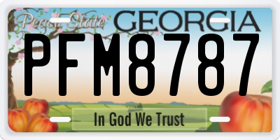 GA license plate PFM8787