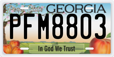 GA license plate PFM8803
