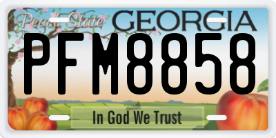 GA license plate PFM8858