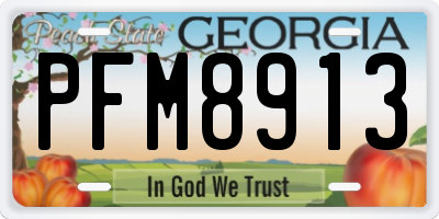 GA license plate PFM8913