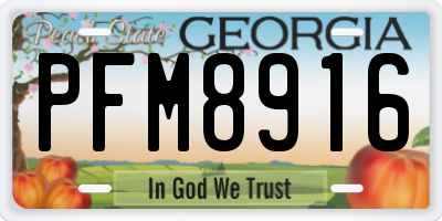 GA license plate PFM8916