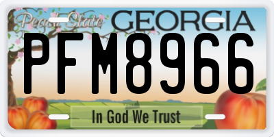 GA license plate PFM8966