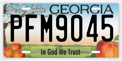 GA license plate PFM9045