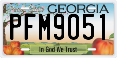 GA license plate PFM9051