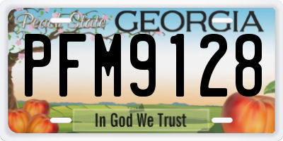 GA license plate PFM9128