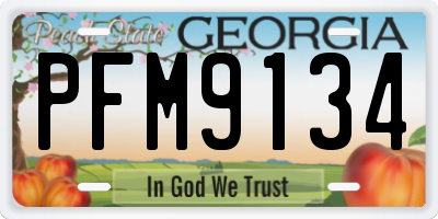GA license plate PFM9134