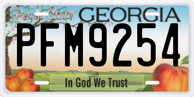 GA license plate PFM9254