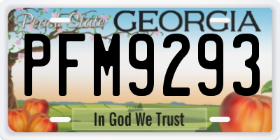 GA license plate PFM9293