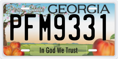 GA license plate PFM9331