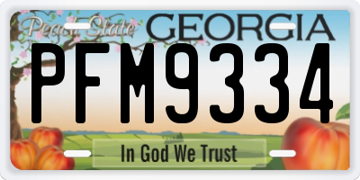 GA license plate PFM9334