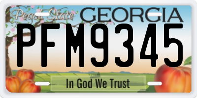 GA license plate PFM9345