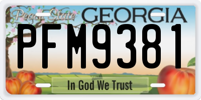 GA license plate PFM9381