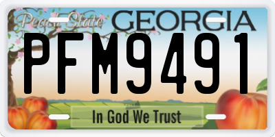 GA license plate PFM9491