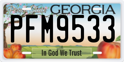 GA license plate PFM9533