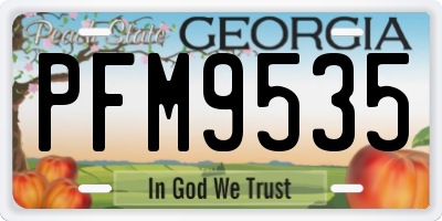 GA license plate PFM9535