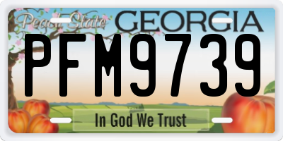 GA license plate PFM9739