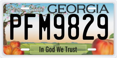 GA license plate PFM9829