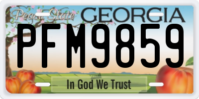 GA license plate PFM9859