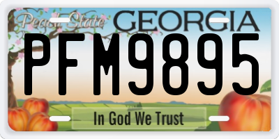 GA license plate PFM9895
