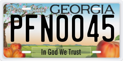 GA license plate PFN0045
