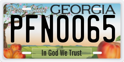 GA license plate PFN0065