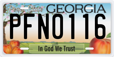 GA license plate PFN0116