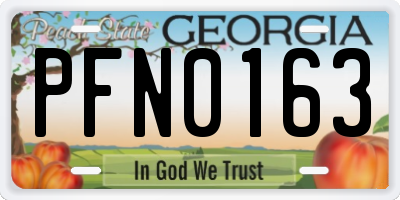 GA license plate PFN0163