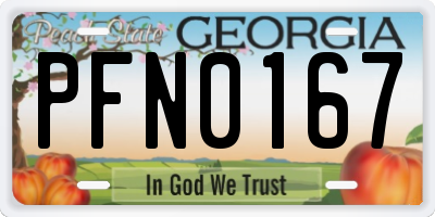 GA license plate PFN0167