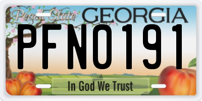 GA license plate PFN0191