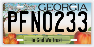 GA license plate PFN0233