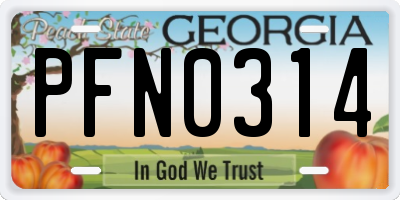 GA license plate PFN0314