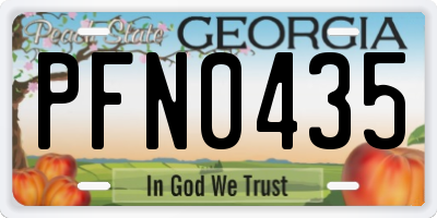 GA license plate PFN0435