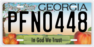 GA license plate PFN0448