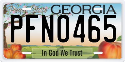 GA license plate PFN0465
