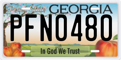 GA license plate PFN0480
