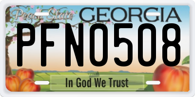 GA license plate PFN0508