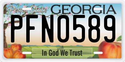GA license plate PFN0589
