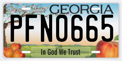 GA license plate PFN0665