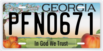 GA license plate PFN0671