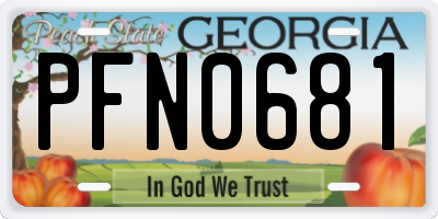 GA license plate PFN0681