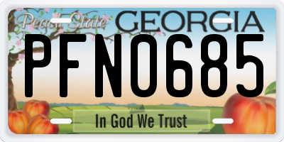 GA license plate PFN0685