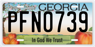 GA license plate PFN0739